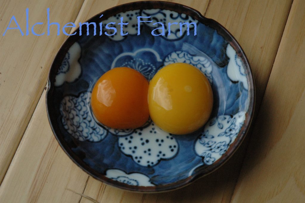 Guinea Hen Egg Alchemist Farm