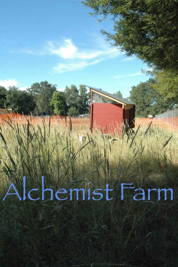 Mobile Chicken Coop Alchemist Farm Sebastopol