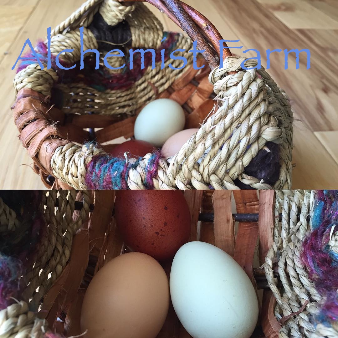 Egg Collecting Baskets