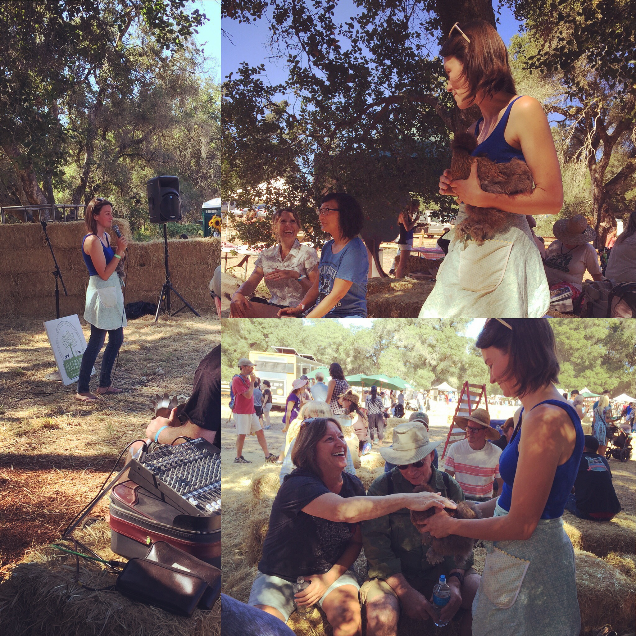 Talking Chicken At The Gravenstein Apple Fair