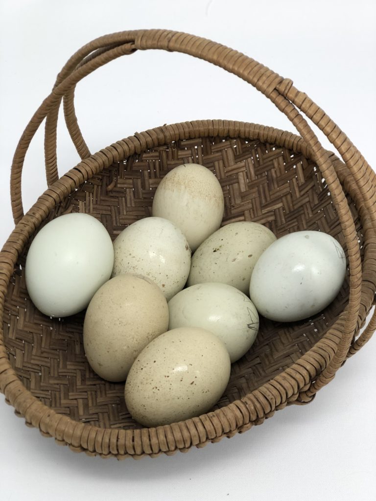 Azure Eggers 2020 Line Alchemist Farm