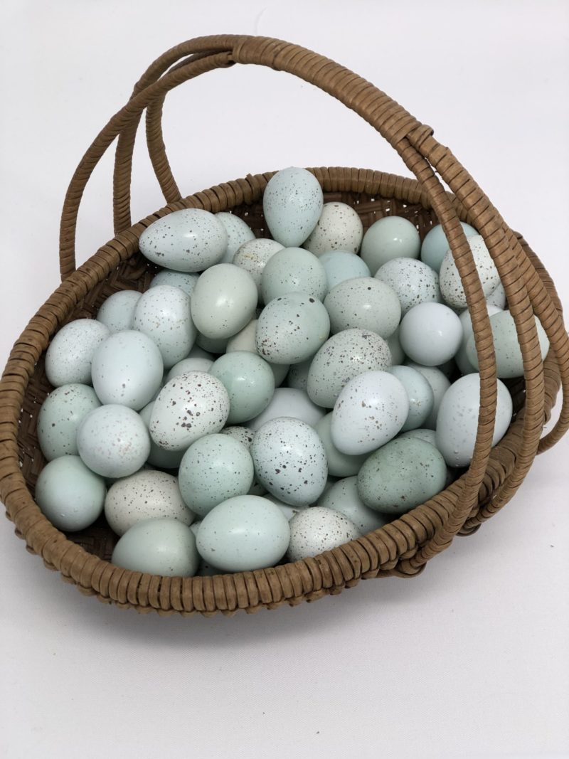 Hatching Eggs Alchemist Blue Quail Eggs 1 Dozen Alchemist Farm