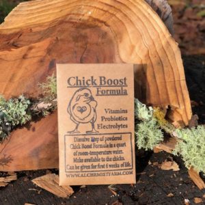 Chicks Archives - Alchemist Farm